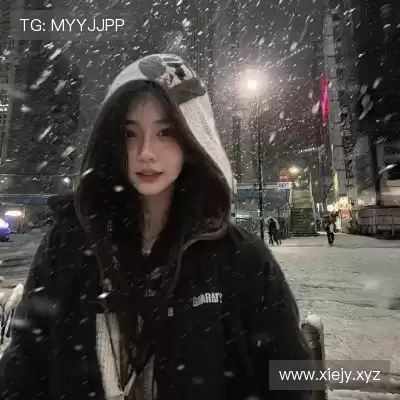 段俪剑